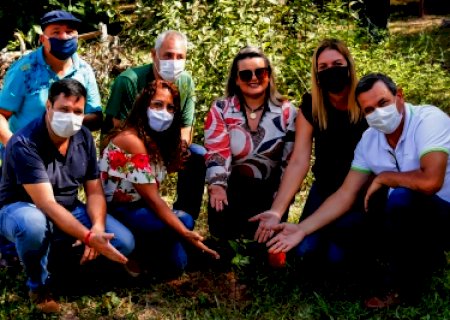 Empresária do ramo de bolsas de Rio Negro, em parceria com Viveiro de Mudas Municipal, lança projeto de plantio de árvores