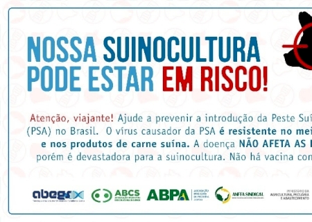 Campanha para evitar Peste Suína Africana no país ganha reforço nas redes sociais