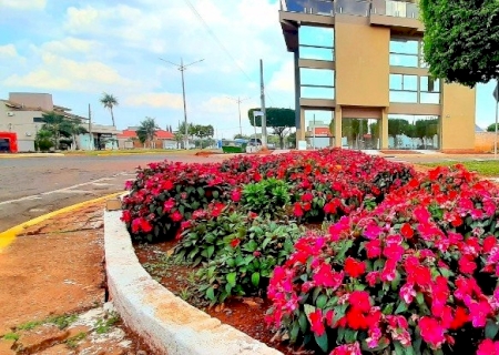 Prefeitura reforça ações de paisagismo nos canteiros de avenidas em São Gabriel do Oeste