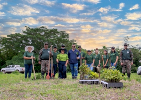 Indústria de MS faz segundo plantio de árvores no Pantanal